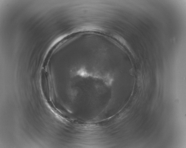 X0000081411024200701261818