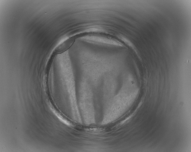 X0000081411029200701261818