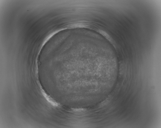 X0000081411031200701261818