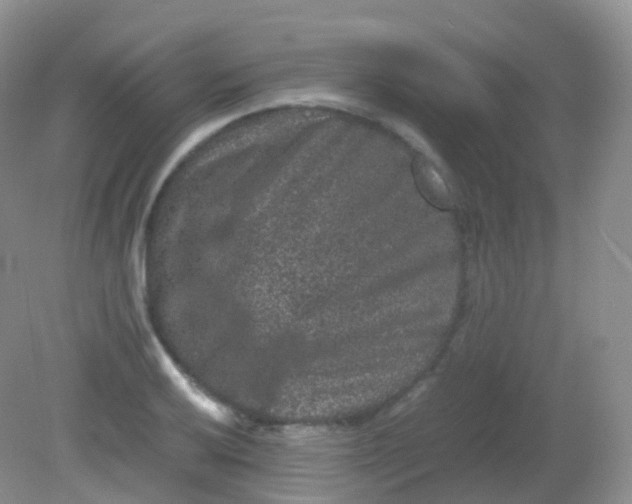X0000081411032200701261818