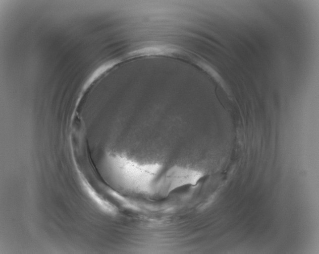 X0000081411034200701261818