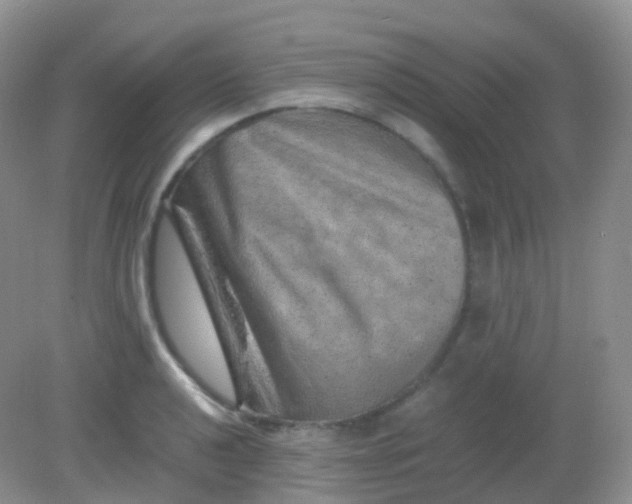 X0000081411040200701261818