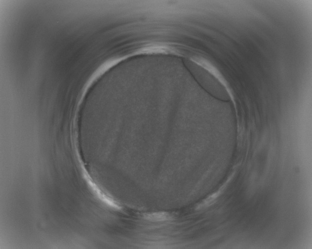 X0000081411045200701261819