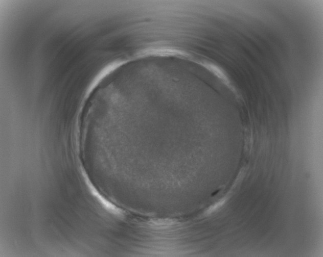 X0000081411046200701261819