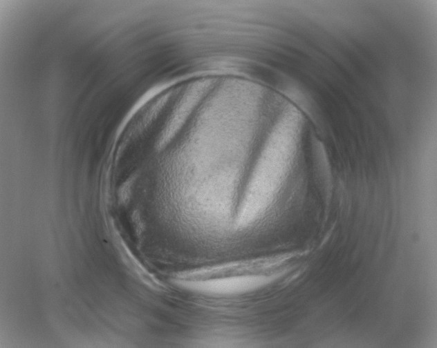 X0000081411052200701261819