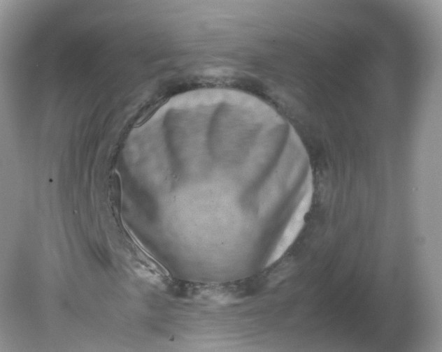 X0000081411057200701261818
