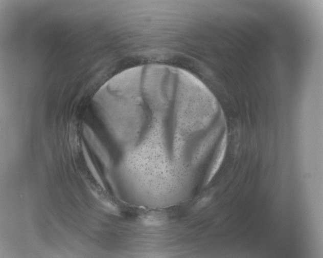 X0000081411058200701261818