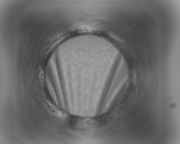 X0000081411061200701261818
