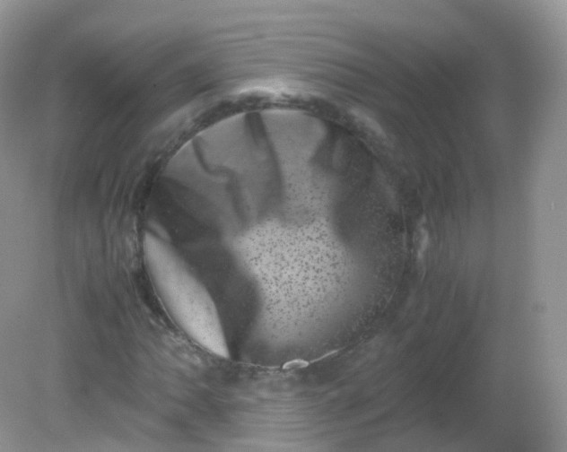 X0000081411062200701261818