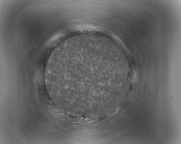 X0000081411063200701261818