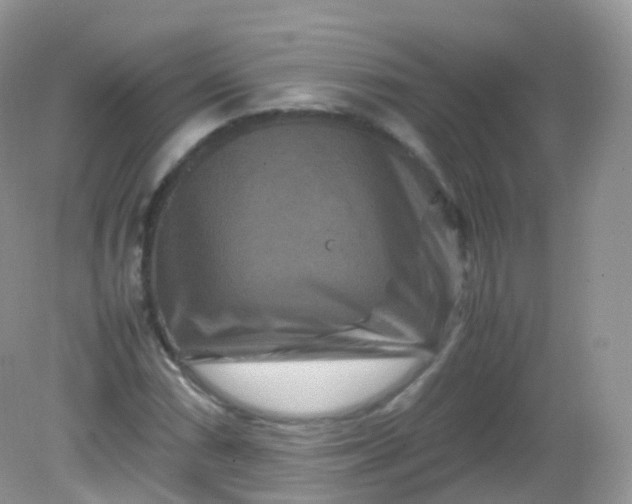 X0000081411066200701261818