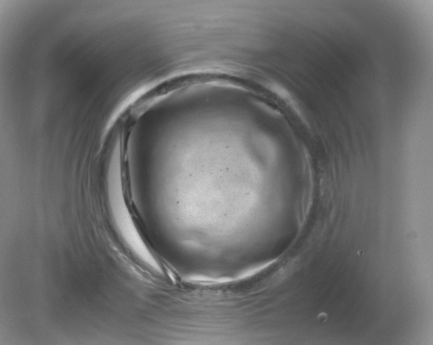 X0000081411069200701261818