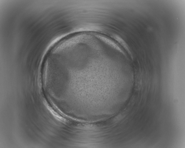 X0000081411072200701261818