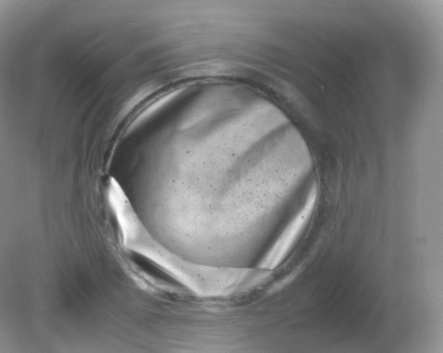 X0000081411073200701261818