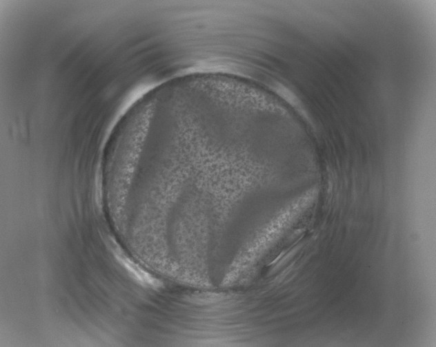 X0000081411076200701261818