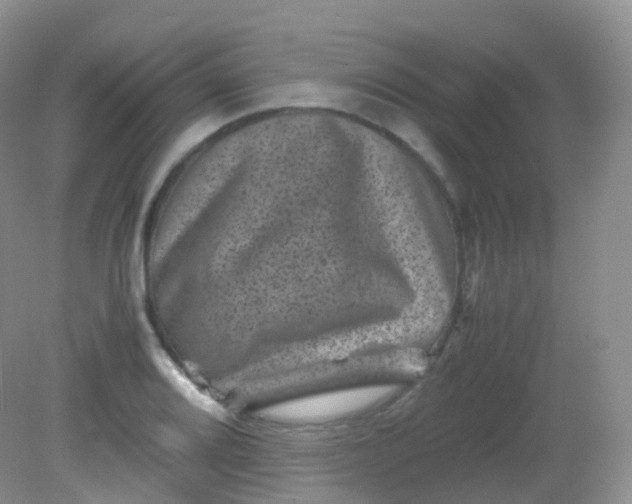 X0000081411080200701261818