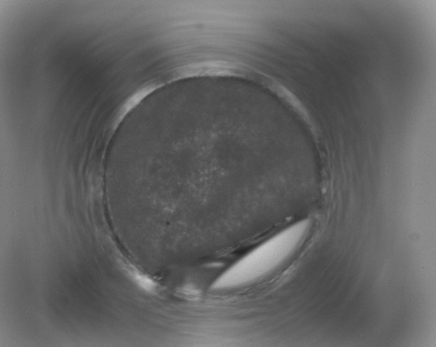 X0000081411081200701261818