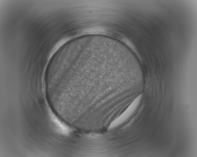 X0000081411082200701261818