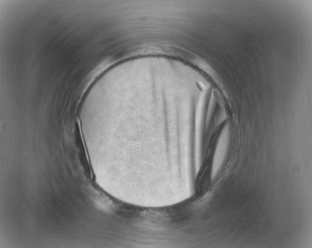 X0000081411089200701261817