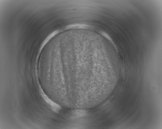 X0000081411090200701261817