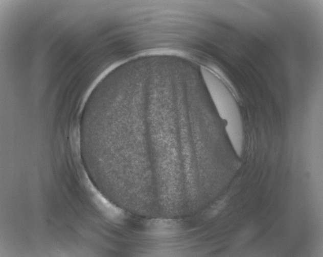 X0000081411092200701261817