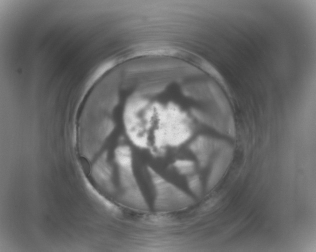 X0000081411095200701261817
