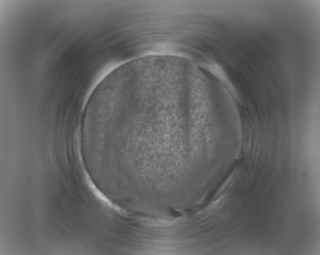 X0000081411100200701261817