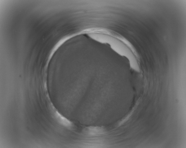 X0000081411102200701261817