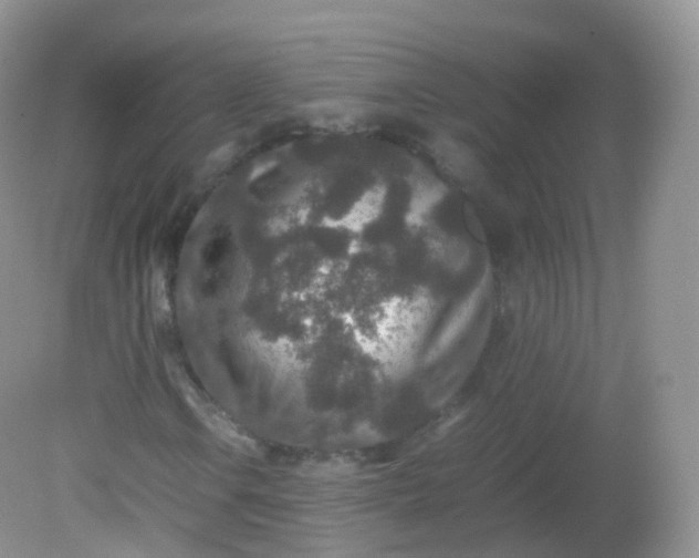 X0000081411106200701261816