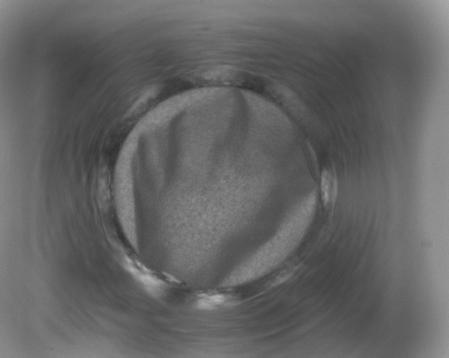 X0000081411107200701261816