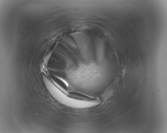 X0000081411109200701261816