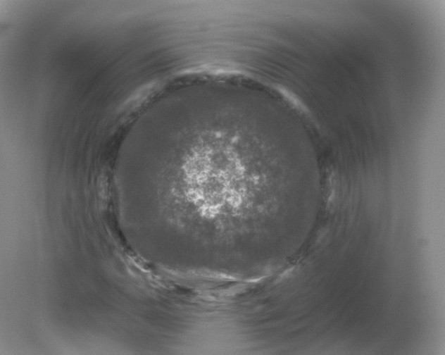 X0000081411110200701261816