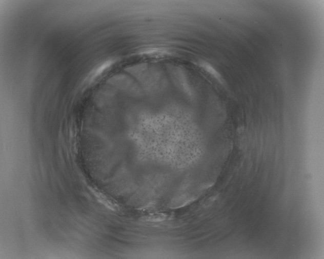 X0000081411111200701261816
