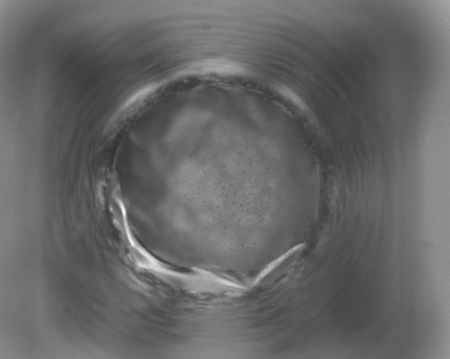 X0000081411112200701261816