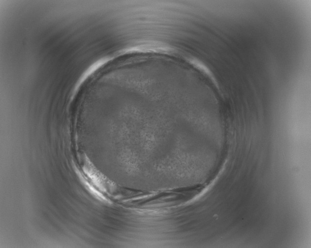 X0000081411114200701261817