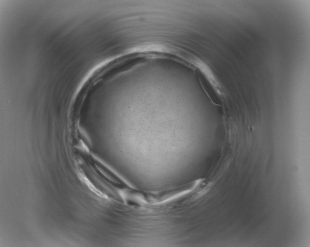 X0000081411116200701261817