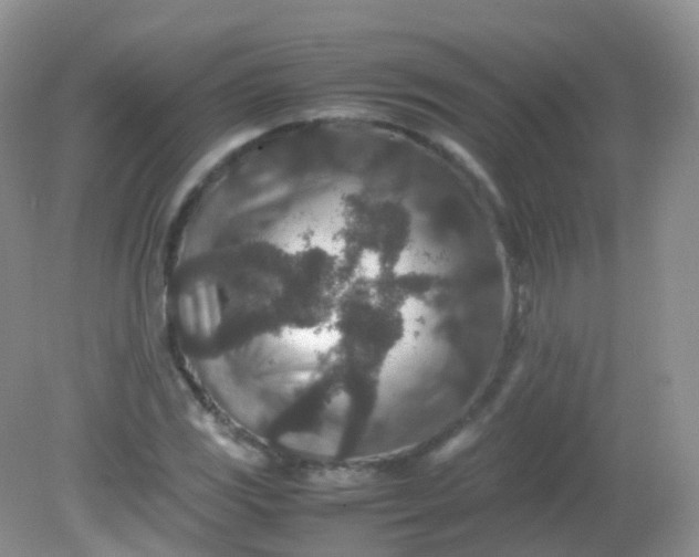 X0000081411117200701261817