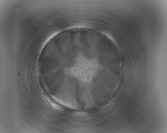 X0000081411119200701261817