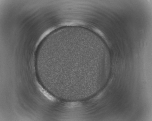 X0000081411122200701261817