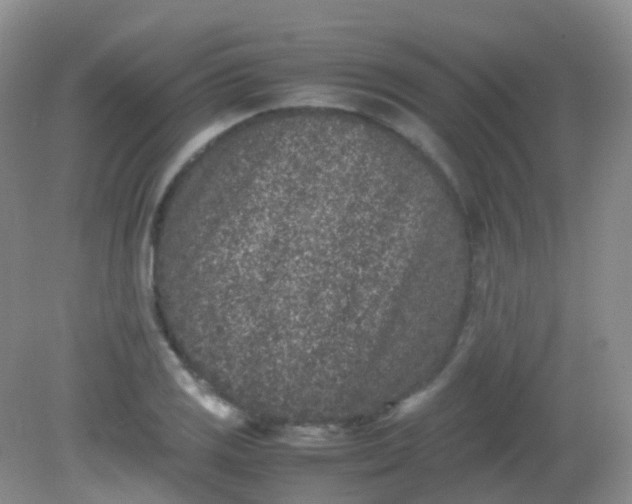 X0000081411125200701261817