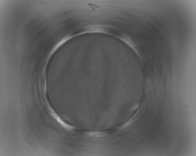 X0000081411127200701261817