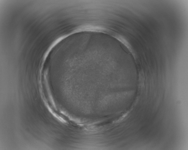 X0000081411128200701261817