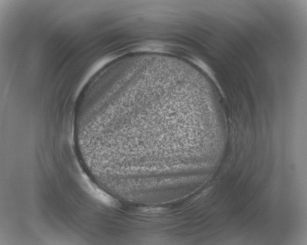 X0000081411131200701261817