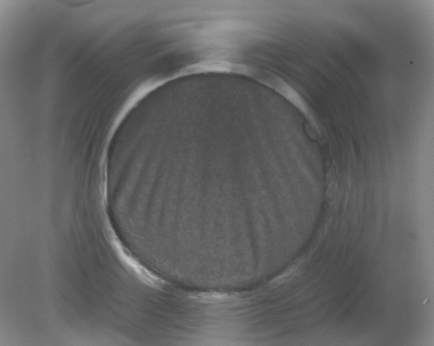 X0000081411132200701261817