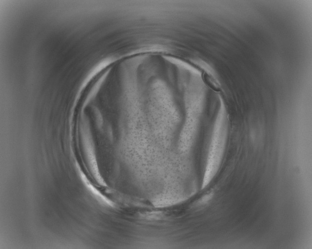 X0000081411135200701261817