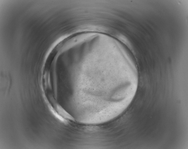 X0000081411136200701261817