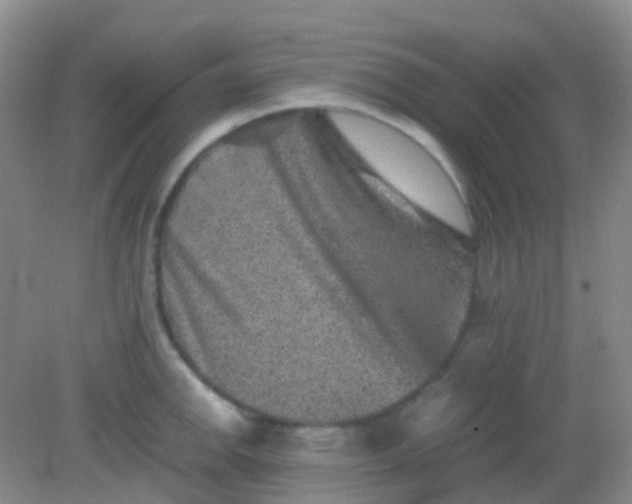 X0000081411142200701261817