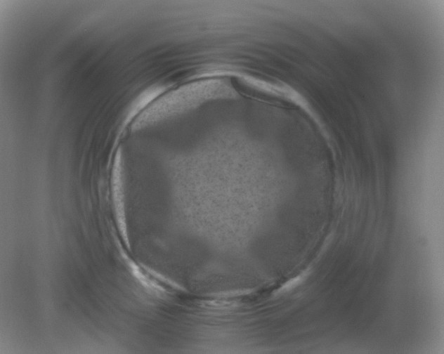 X0000081411145200701261817