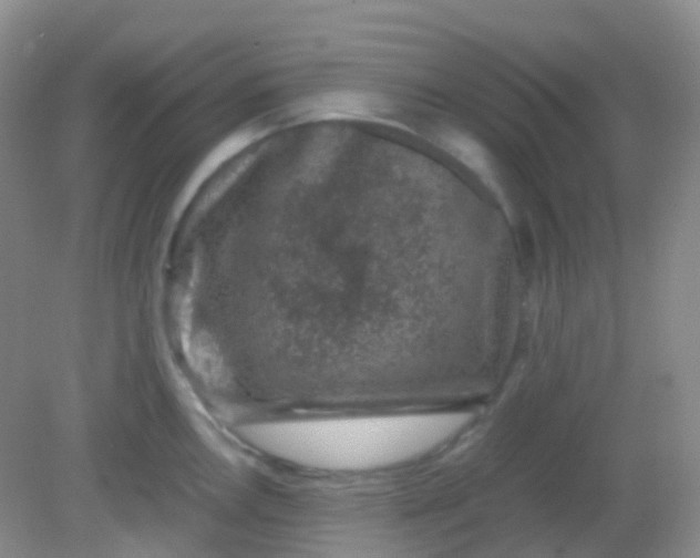 X0000081411146200701261817