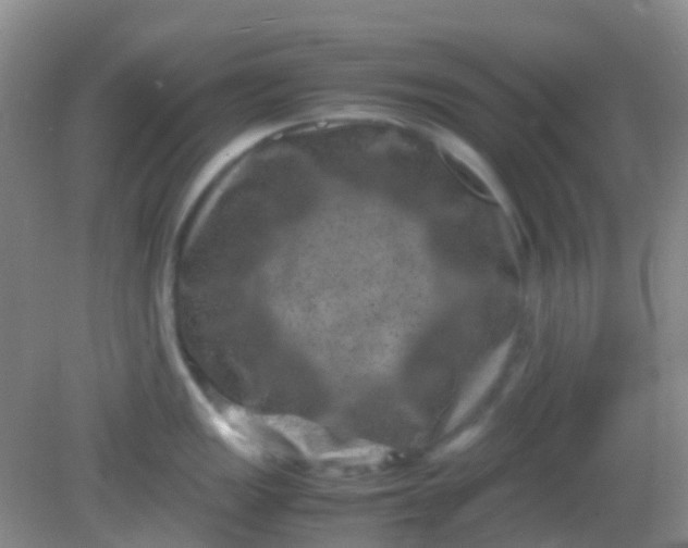 X0000081411149200701261817